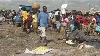 Food crisis warning as prices surge