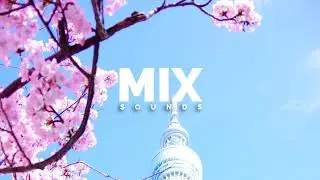 Roa - Sakura 2020 | Happy EDM CInematic Background Music For Videos (Free No Copyright) #upbeat