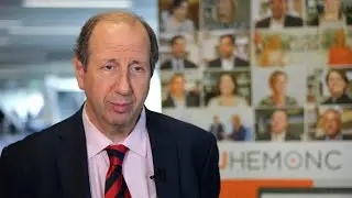Updates in the diagnosis, risk stratification & treatment of AML: WHO, ICC, and ELN classifications