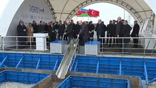 L'Azerbaijan Investment Company : un &eacute;quilibre entre croissance, innovation et investissements