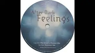 After Dark - Feelings (Extended Mix) 1999