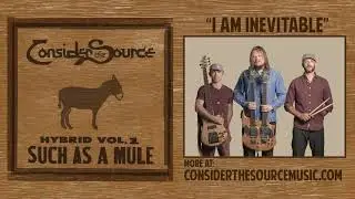 Consider the Source - I Am Inevitable