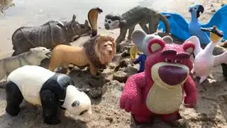 📚 Learning Fun Facts with Zoo Animal Toys for Kids!