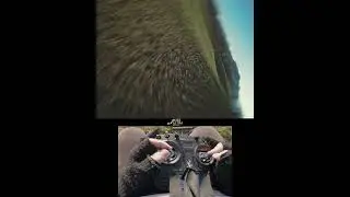 Rewind a tree and going Juicy