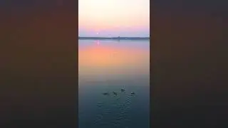Deuli Dam Best Drone View Best Picnic Spot Near Baripada 👌✅️ #trending #love #explore