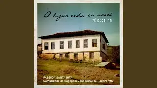 Passarinho Sedutor
