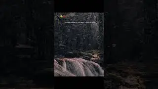 Nafrat thi too | Sad status Poetry for WhatsApp 💔 | short clips #shorts #poetry #single