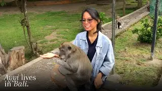 [ Ayyi Lives In Bali ] Exploring Tabanan Bali: From Sacred Temples to Wild Monkey Forest Adventures