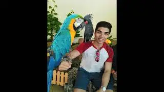 Kuala Lumpur - Bird Park & KLCC Aquarium