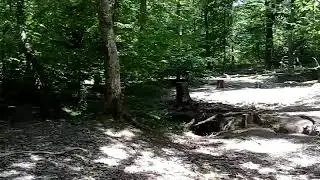 &Eacute;co-cr&egrave;che en for&ecirc;t de l&rsquo;association &Eacute;ducation durable - notre 