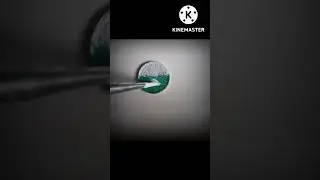 painting on coin 🇵🇰#pakistan zindabaad#naheed khalid# plz like share and subscribe 🙏