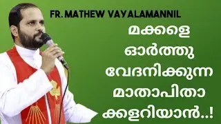 മക്കളെയോർത്തു കരയുന്ന മാതാപിതാക്കലുണ്ടോ?/FR.MATHEW VAYALAMANNIL/Holy Spirit/#bible 