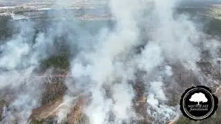 Prescribed Fire for Forest Site Preparation Ahead of Reforestation