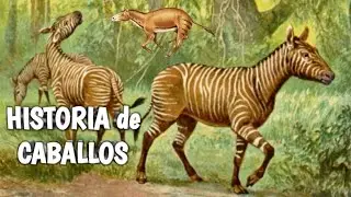 🐎ORIGEN y EVOLUCIÓN de los CABALLOS 🐴