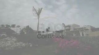 &iquest;Vas a viajar desde el Cortissoz?