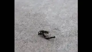 You're a wizard, Bee