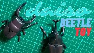Daiso Wind up Beetle Toy