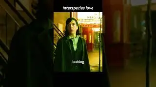 Interspecies Love