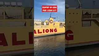SEAPORT OF CEBU | PIER 1, CEBU CITY  #shortvideo #shorts