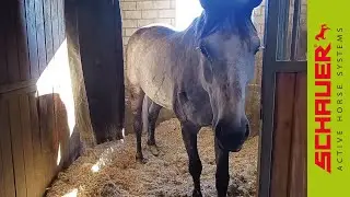 Active Horse Strohmatic Einstreusystem für Ihren Boxenstall!