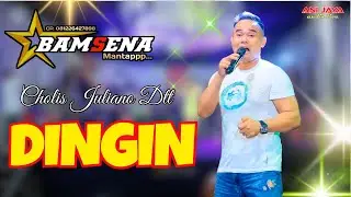 DINGIN - CHOLIS JULIANO DTT -BAMSENA - BULUSARI SAYUNG DEMAK- ANIJAYA AUDIO LIVE//AIRIN DIGIMEDIA