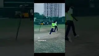 Play Responsibly 🏏🏏⚰️⚰️☠️