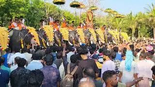Uthralikavu | പൂരത്തിന് ഇനി ദിവസങ്ങൾ മാത്രം 😍 #krishnakdm #pooram #shorts 