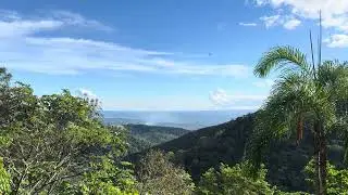 Breathtaking Mountain Valley with Palm Trees - Free Download for Your Videos!