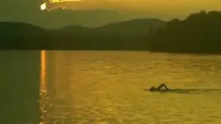 The Swim Doctor   Donna Rosenberg, M D