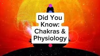 Did You Know: Chakras & Physiology