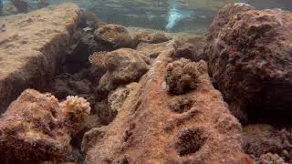 Marston Mat, Kwajalein, Marshall Islands, Tide Pools near the Country Club