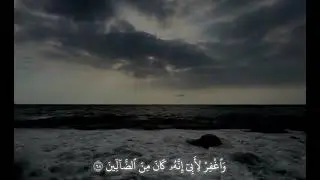 ‌