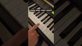 Simple Piano Tutorial for Martin Garrix - Animals