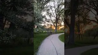#Spring #2025 #evening #walk #edina #minnesota #usa