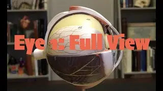 Eye 1 Full View
