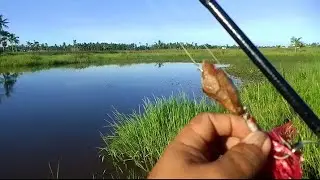Hand made lure  | field test DIY floating bait   #calbayoganglers 