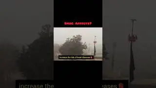smog affects #smog #smokeyeye #smoggy #smogalert #health #woundcare #airpollution  #prevention