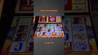 Buffalo GOLD Wheel Feature Bonus #foryou #fyp #shortvideo #viral #viralvideo #youtubeshorts #shorts