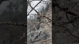 Taughannock Falls in NY ✨