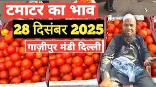28 December 2025 🍅टमाटर का भाव दिल्ली ग़ाज़ीपुर मंडी | today tomato rate in delhi mandi #tamatar 