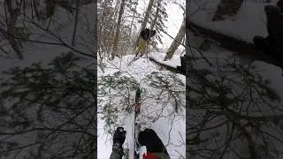 When sh*t hits the fan 🤣 #furano #japan #skiing #skitouring #skiseason #wintersports #snow #winter