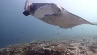 Maldives central atolls 2022