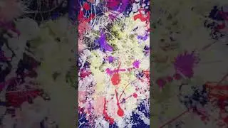 Inspiration through Explosive Paint Splashes | Abstract Art Animation | Zone Out with Me Real Quick