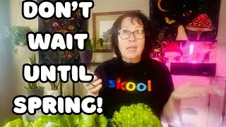 Best Time to Start is Now!  - Cold Climate Gardening for Beginners