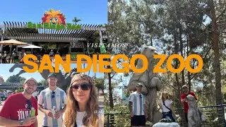 Visiting San Diego Zoo in 4 Hours 🦁🌴 Eats, Tips & More!