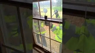 Respectful Entry - Windows