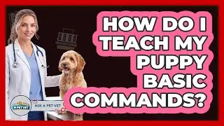 How Do I Teach My Puppy Basic Commands?
