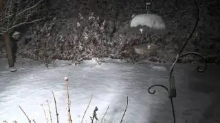 Snow Timelapse 2015 (Fletcher, North Carolina) 02/25