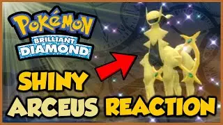 It Took Me 100 Hours To Get Shiny Arceus