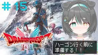 【ドラゴンクエストI＆II HD-2D版】ハーゴンの元へ行く前に心と装備を整える準備回⚔️【DQ2】